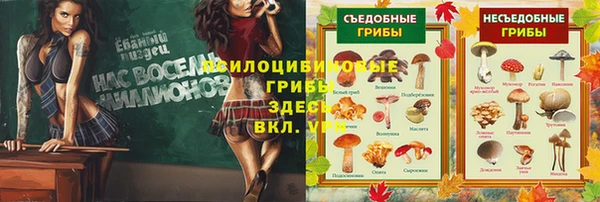 таблы Магадан