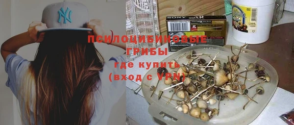 2c-b Магас
