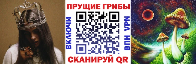 Купить где  Саяногорск  Псилоцибиновые грибы Psilocybine cubensis 